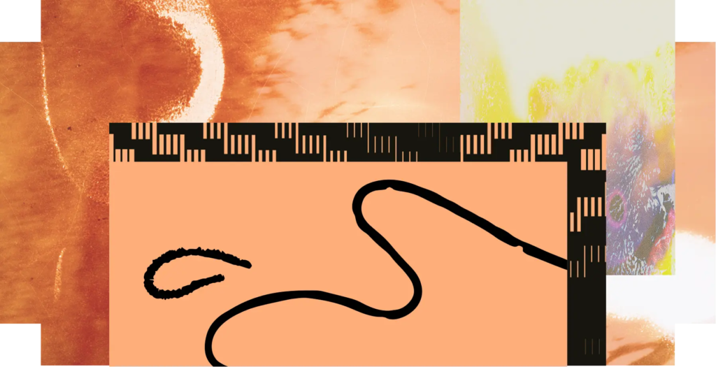 Collage Laboratoire Vivant